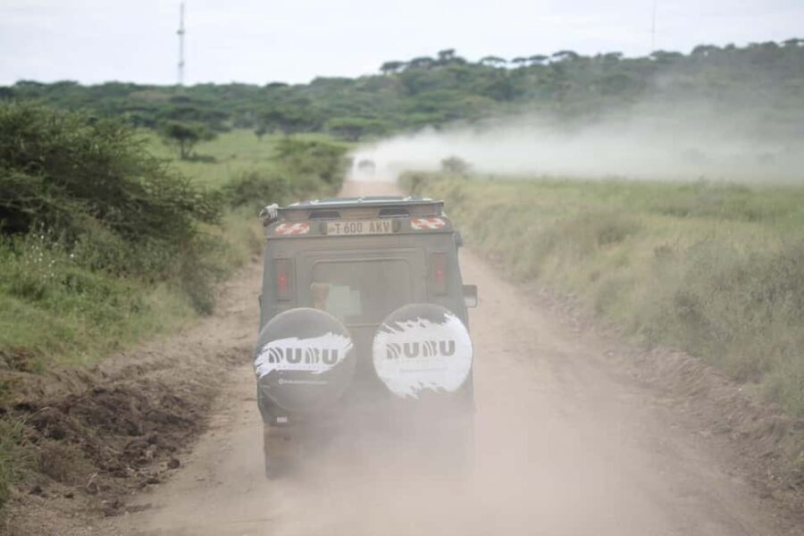 Tanzania: 8 Days Drive In Fly Out Luxury Safari - Is This Tour Worth the Price?