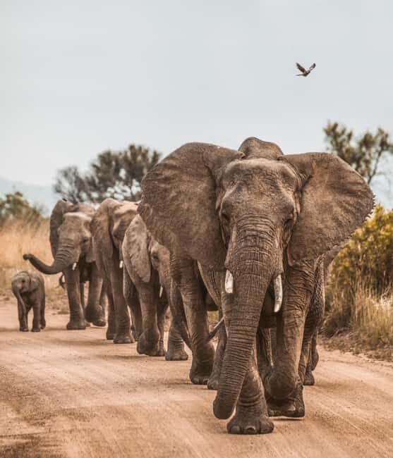 Tanzania: Arusha National Park & Ngurdoto Crater Tour - A Closer Look at the Itinerary