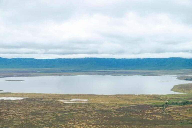 Tanzania: Five Days midrange safari - What Travelers Can Expect