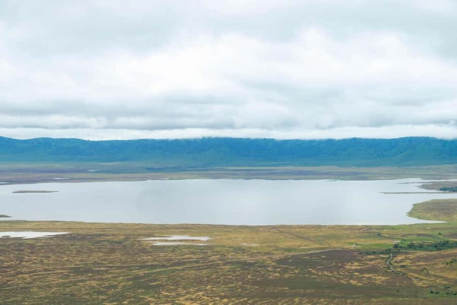 Tanzania: Five Days midrange safari - What Travelers Can Expect