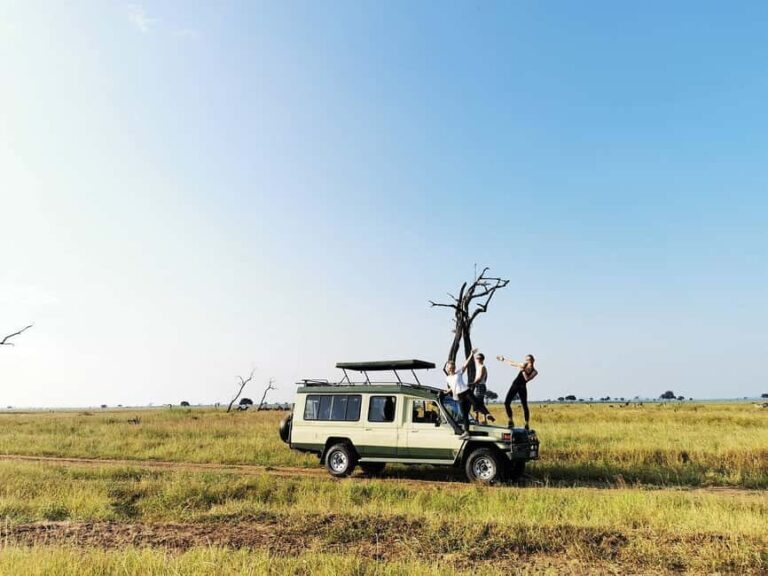 Tanzania: Mikumi National Park 3-Day Private Safari - Wildlife Encounters and Authentic Experiences