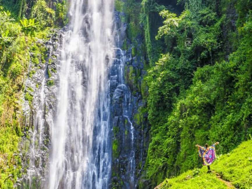 Tanzania: Olpopongi Maasai, Materuni & Coffee 2-Day Tour - Day 2: Waterfalls and Coffee – A Natural and Cultural Combo