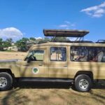 Tarangire, Serengeti & Ngorongoro: 5-day Game drive Safari - Practical Details and Tips