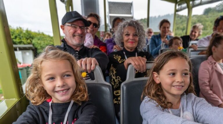 Tarawera and Lakes 2-Hour Duck Eco Tour - The Scenic Lakes and Volcanic Domes