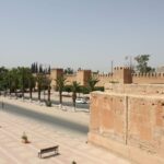 Taroudant and Tiout Oasis Trip With Lunch - Why This Tour Offers Great Value