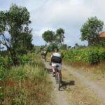 Tarrafal: Mountain Bike Excursion with Traditional Meal - The Value Proposition