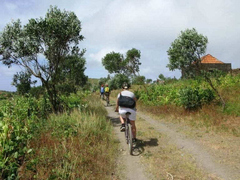 Tarrafal: Mountain Bike Excursion with Traditional Meal - The Value Proposition