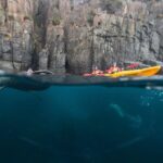 Tasman Peninsula full day kayaking tour - Highlights Submerged in Authentic Experience
