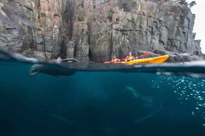 Tasman Peninsula full day kayaking tour - Highlights Submerged in Authentic Experience