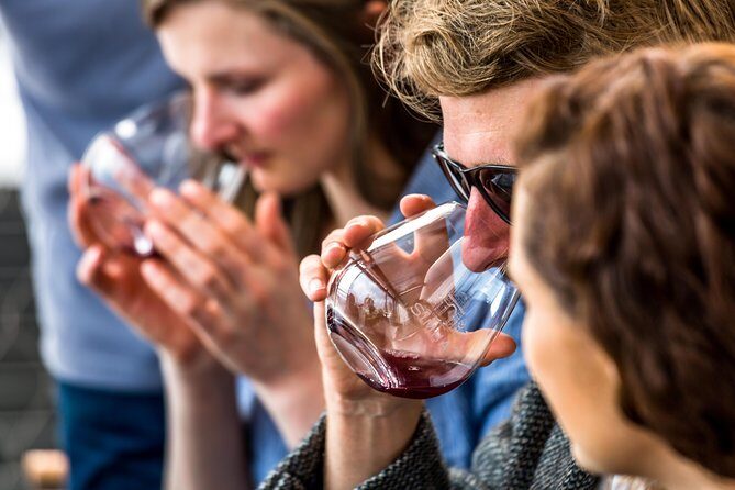 Tasmanian Premium Wine Tour with Tasmanian Cheese Platter - The Itinerary in Detail