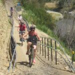 Tasman's Rail Trail : Spooners Tunnel to Nelson Cycle Tour - Who Should Consider This Tour?
