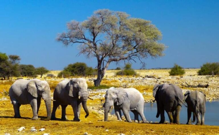 Taste of Namibia Adventure Tour - What Makes This Tour Stand Out?