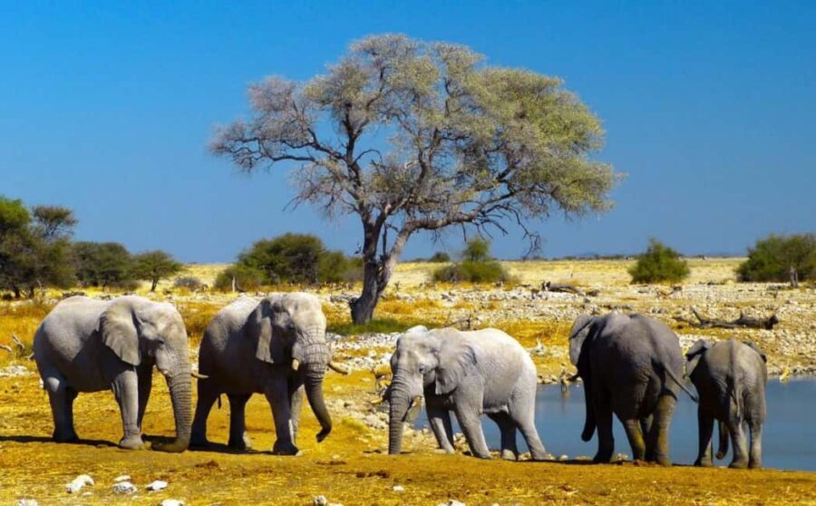 Taste of Namibia Adventure Tour - What Makes This Tour Stand Out?