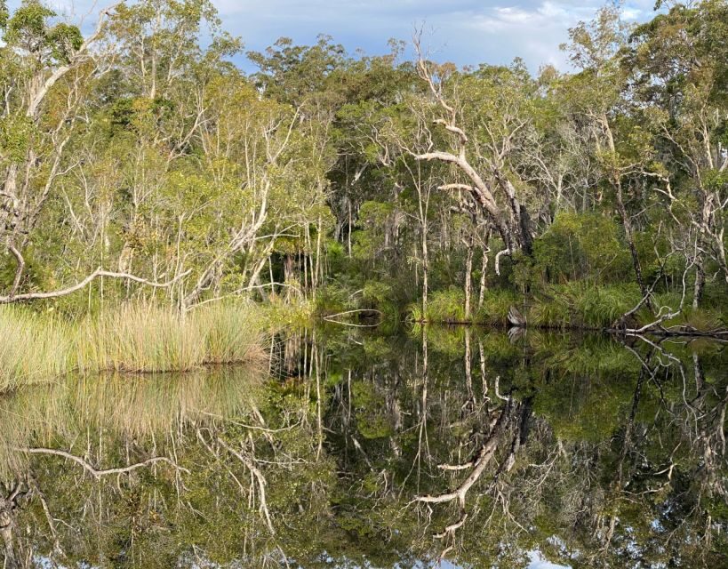 Tasty Noosa Everglades - What Makes This Tour Stand Out