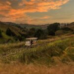 Taumarunui: Forgotten World Rail Cart Tour with Lunch - Practical Details and What to Keep in Mind