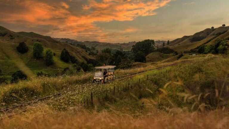 Taumarunui: Forgotten World Rail Cart Tour with Lunch - Practical Details and What to Keep in Mind