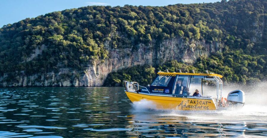Taupo: Lake Taupo Western Bays Catamaran Tour with Bush Walk - The Value of the Tour