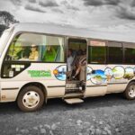 TAURANGA City & Scenic Sightseeing 2-hour Local Bus Tour - What the Experience Feels Like