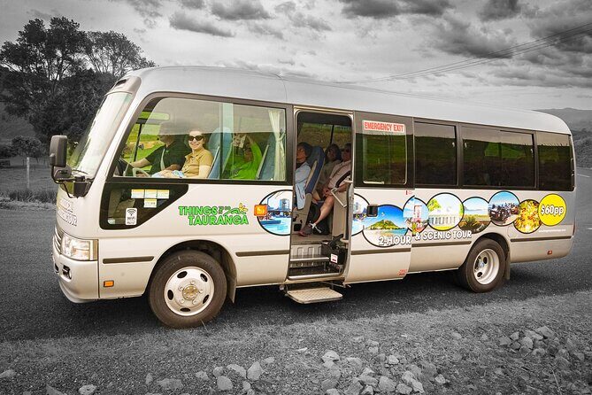 TAURANGA City & Scenic Sightseeing 2-hour Local Bus Tour - What the Experience Feels Like