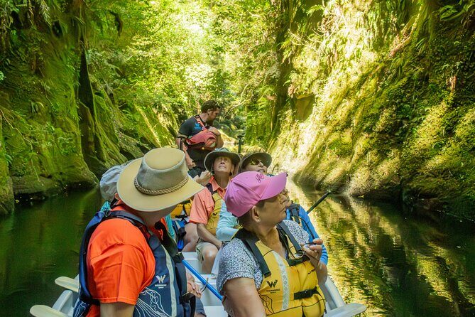 Tauranga Daytime Scenic Lake McLaren Tour - Is It Worth the Price?