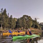 Tauranga: Evening Glowworm Kayak Tour - Who Should Book This Experience?