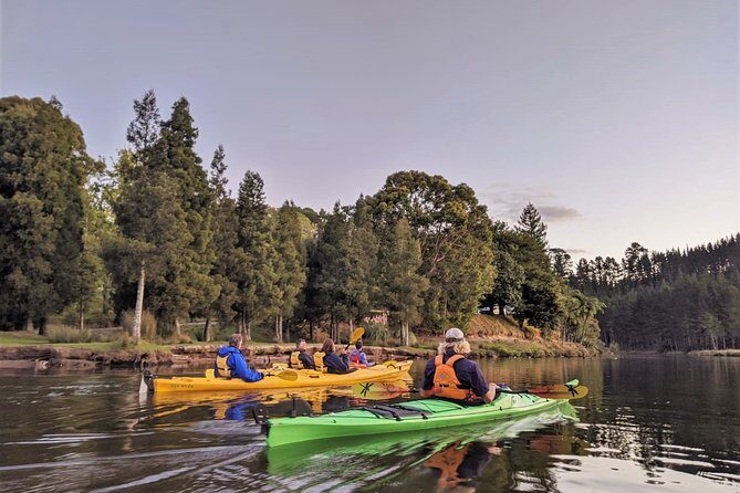 Tauranga: Evening Glowworm Kayak Tour - Who Should Book This Experience?