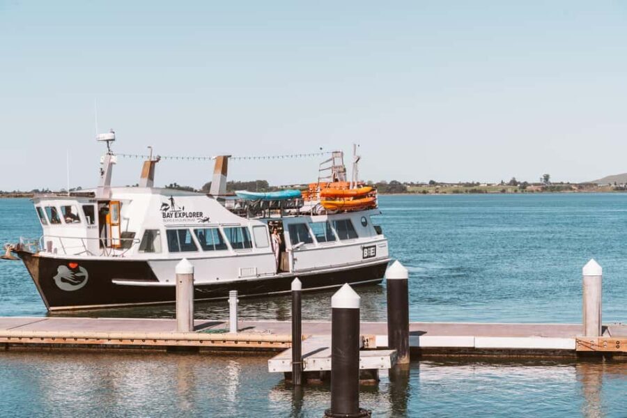 Tauranga Harbour Cruise - Why This Tour Offers Good Value