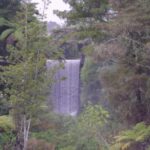 Tauranga: Kiwifruit Destination and Sights Shore Excursion - An Authentic Taste of Tauranga’s Best Sights