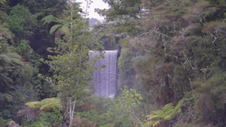 Tauranga: Kiwifruit Destination and Sights Shore Excursion - An Authentic Taste of Tauranga’s Best Sights