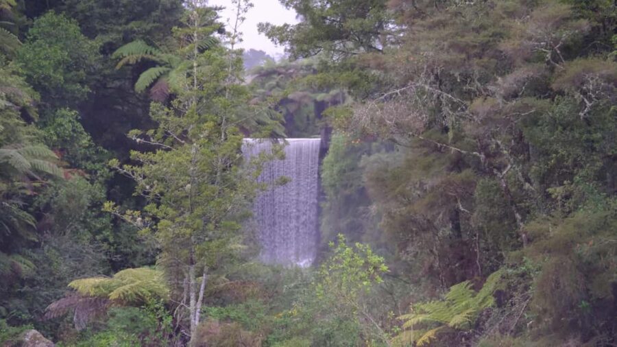 Tauranga: Kiwifruit Destination and Sights Shore Excursion - An Authentic Taste of Tauranga’s Best Sights