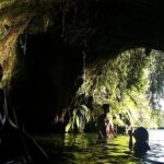 Tauranga Port - Pure Cruise Rotoiti Lake, Glowworms & Hells Gate - Diving Into Lake Rotoitis Highlights