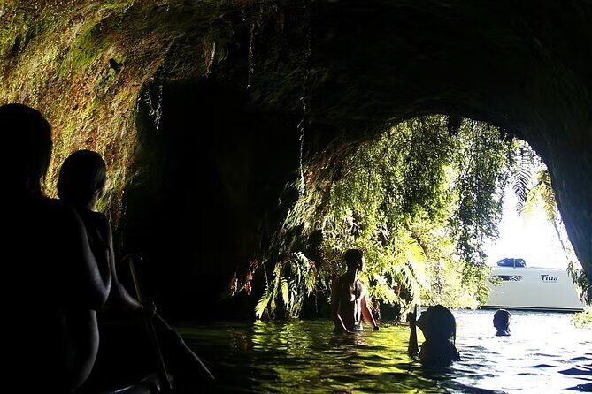 Tauranga Port - Pure Cruise Rotoiti Lake, Glowworms & Hells Gate - Diving Into Lake Rotoitis Highlights