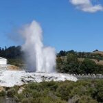 Tauranga: Rotorua Redwoods Tour & Maori Village Experience - What to Expect from the Rotorua Redwoods & Maori Village Tour