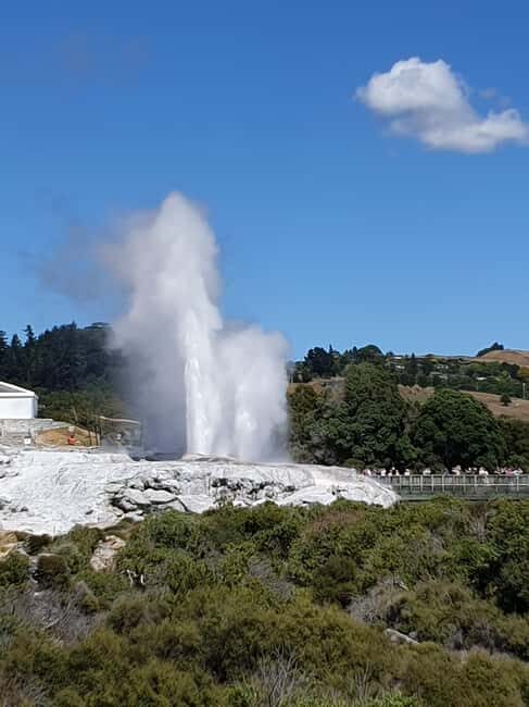 Tauranga: Rotorua Redwoods Tour & Maori Village Experience - What to Expect from the Rotorua Redwoods & Maori Village Tour