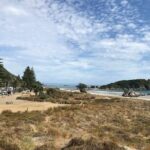 Tauranga Shore Excursion: History & Kiwifruit Tasting  4 Hours - Authentic Reviews and Insights