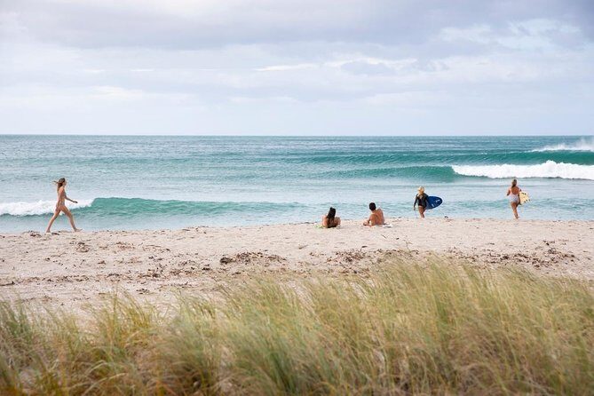 Tauranga Shore Excursion: Small-Group Bay of Plenty and Tauranga Tour - Embracing Nature at McLaren Falls Park