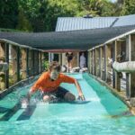 Tauranga: Waimarino Adventure Park - Who will love Waimarino Adventure Park?