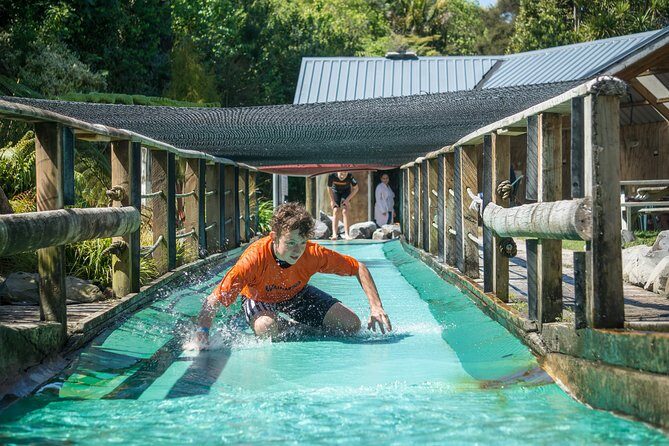 Tauranga: Waimarino Adventure Park - Who will love Waimarino Adventure Park?