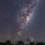 Tawharanui: Kiwi Spotting & Stargazing Tour w/ Optional Stay - Stargazing: A Clear View of the Night Sky