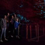 Te Anau Glow Worm Caves Tour - Analyzing the Value for Money