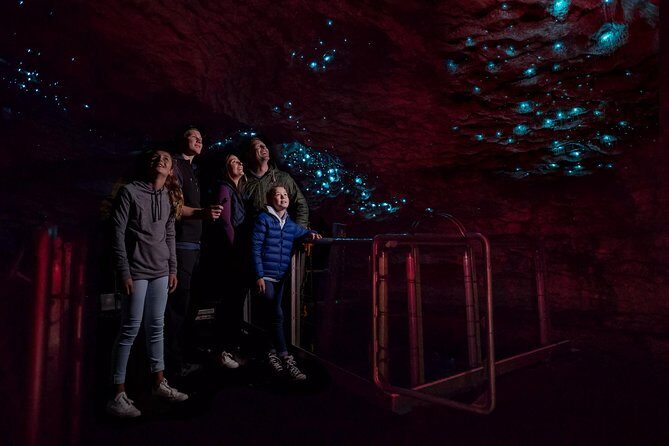 Te Anau Glow Worm Caves Tour - Analyzing the Value for Money