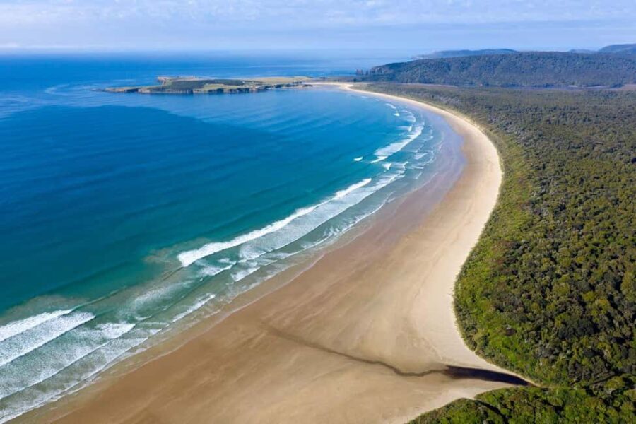 Te Anau to Dunedin via the Catlins & Invercargill 1 Way Tour - An In-Depth Look at the Journey