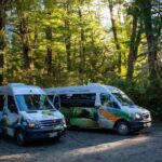 Te Anau to Queenstown inc Milford Sound Tour, Cruise & Lunch - A Detailed Look at the Milford Sound Day Trip