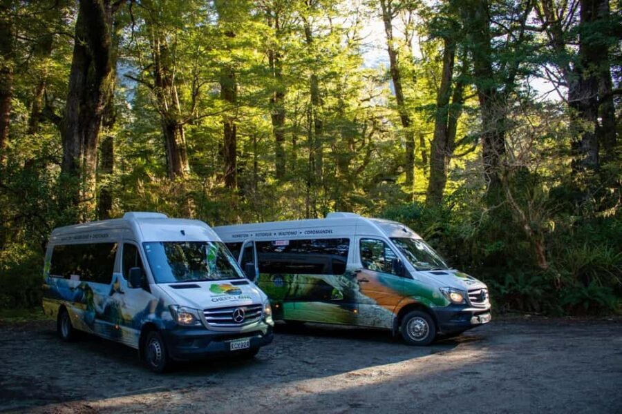 Te Anau to Queenstown inc Milford Sound Tour, Cruise & Lunch - A Detailed Look at the Milford Sound Day Trip