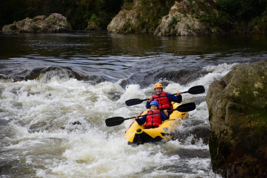Te Awa Kairangi Grade 2 Scenic Duckie Tour - What to Expect During the Trip