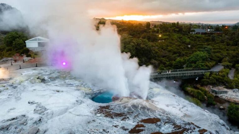Te Puia: Te P Evening Hng Buffet and Cultural Experience - An In-Depth Look at the Experience