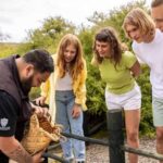 Te Puia: Tuku Iho Trail with Cultural Show - In-Depth: What Makes the Tour Special
