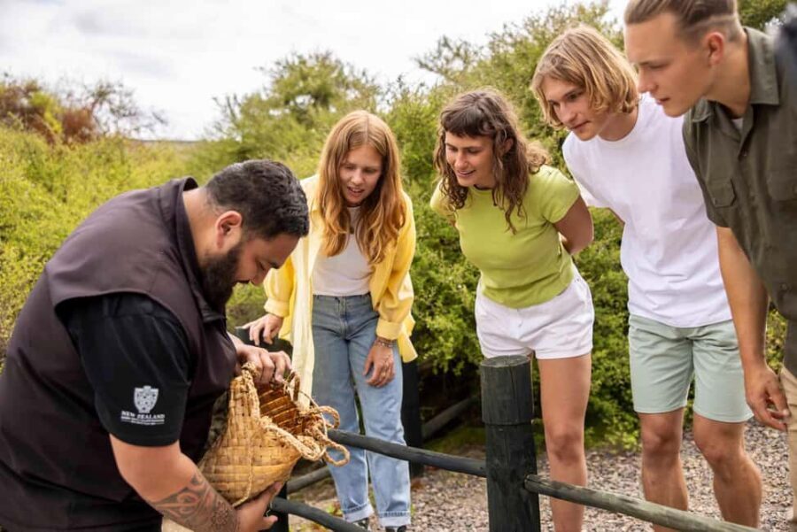 Te Puia: Tuku Iho Trail with Cultural Show - In-Depth: What Makes the Tour Special