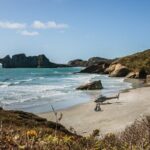 Te Tau Ihu West Coast Wilderness - Who Will Love This Tour?