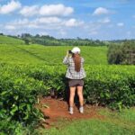 Tea Farm From Nairobi (Kiambethu) - FAQ